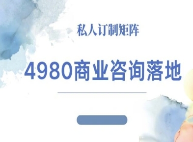 4980商业咨询师落地课程-ip运营高客单教程-99网创站