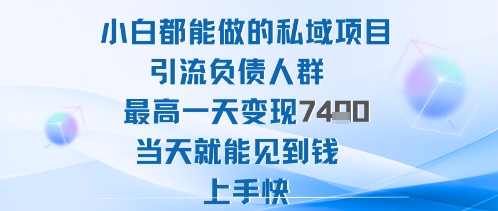 2025年小白都能做的私域项目引流负债人群最高一天变现1k+高变现难度低当天就能见到钱上手快-99网创站