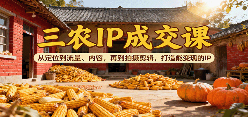 三农IP成交课：从定位到流量、内容，再到拍摄剪辑，打造能变现的IP-99网创站