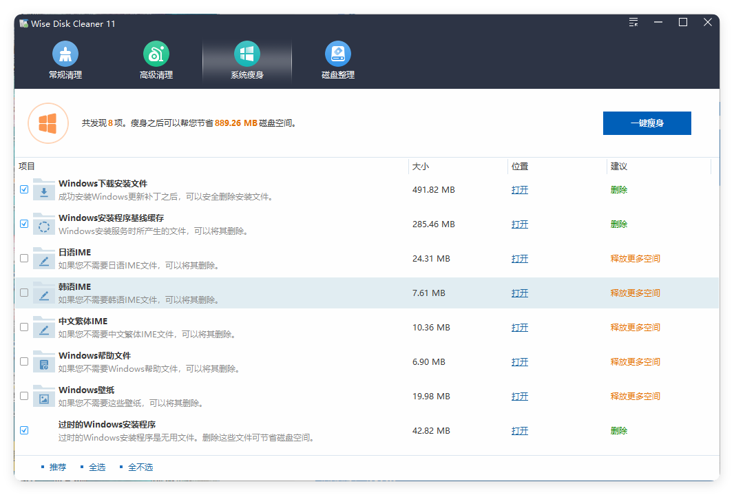Wise Disk Cleaner v11.3.3.853绿色版