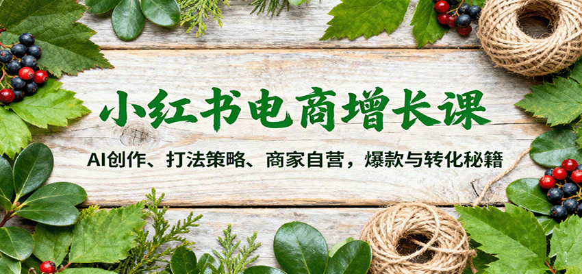 小红书电商增长课:AI创作、打法策略、商家自营,爆款与转化秘籍-99网创站