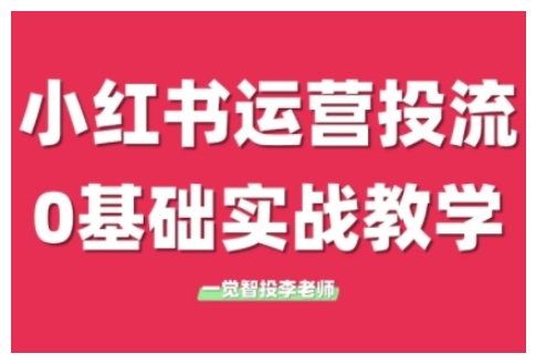 小红书运营投流，小红书广告投放从0到1的实战课，学完即可开始投放(更新26年)-99网创站