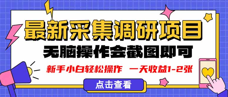 新版采集调研项目，截图上传即可，无脑操作，日收益1-2张-99网创站