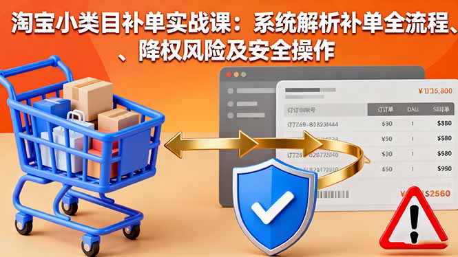 淘宝小类目补单实战课：系统解析补单全流程、降权风险及安全操作-99网创站