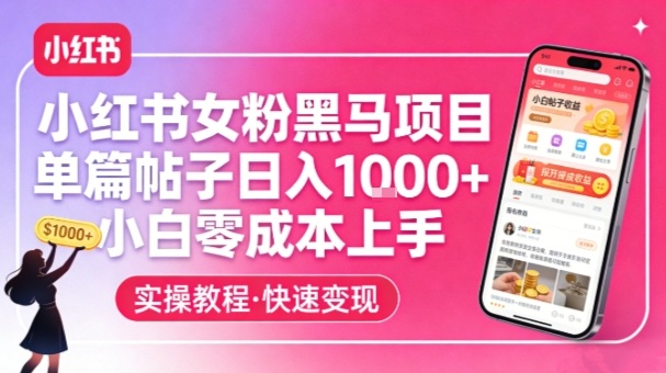 小红书女粉黑马项目，单篇帖子日入1k+，小白零成本上手-99网创站