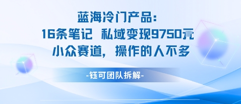 蓝海项目：16条笔记私域变现9750米小众赛道操作的人不多-99网创站