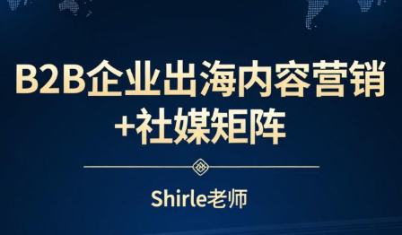 shirle老师·B2B企业出海内容营销+社媒矩阵-99网创站