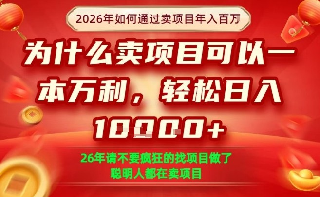 一单净利润1K+，26年想年入100个W，死磕卖项目就够了【揭秘】-99网创站