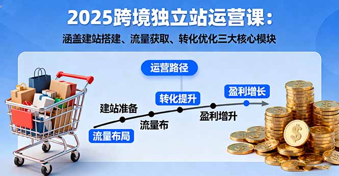 2025跨境独立站运营课：涵盖建站搭建、流量获取、转化优化三大核心模块-99网创站